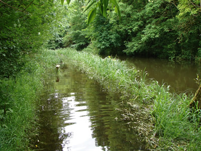 River Avon Stonehenge